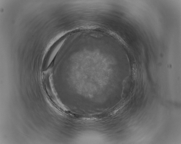 X0000070340726200606301740