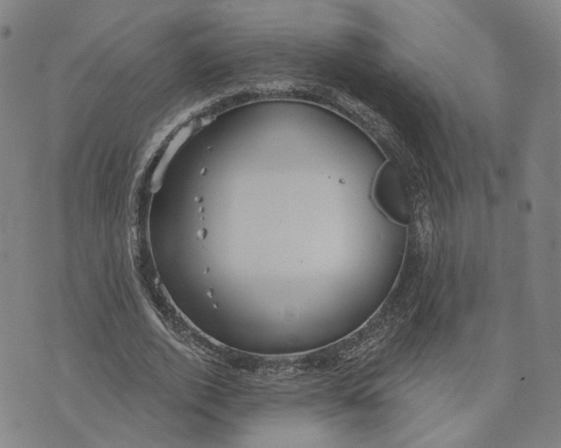 X0000070340728200606301740