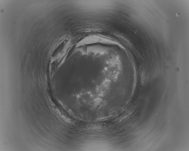 X0000070340729200606301740