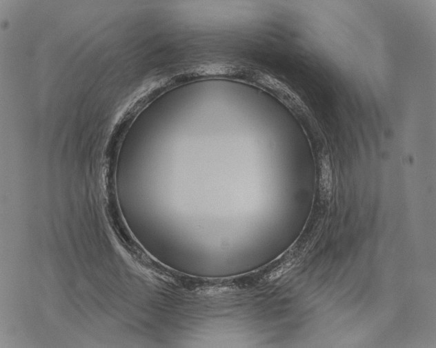 X0000070340730200606301740