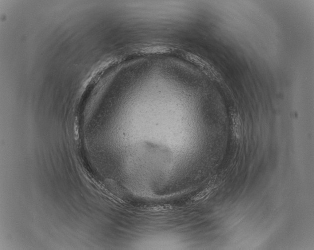 X0000070340731200606301740