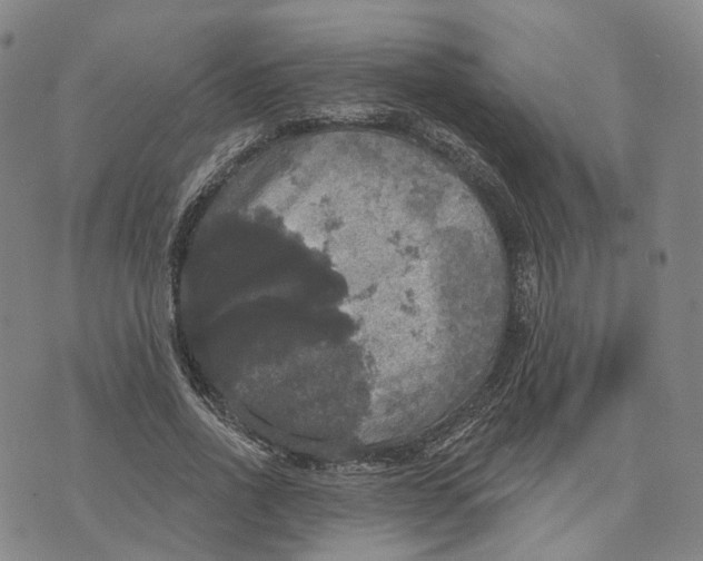 X0000070340734200606301740