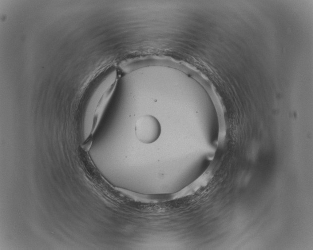 X0000070340735200606301740