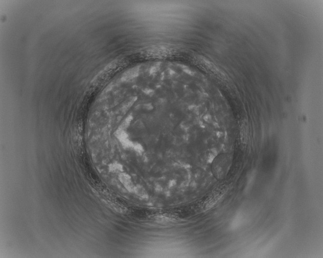 X0000070340737200606301740