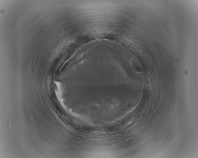 X0000070340742200606301740