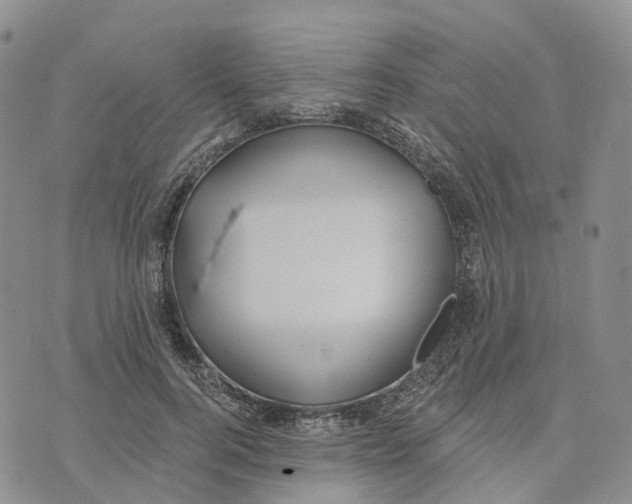 X0000070340744200606301740