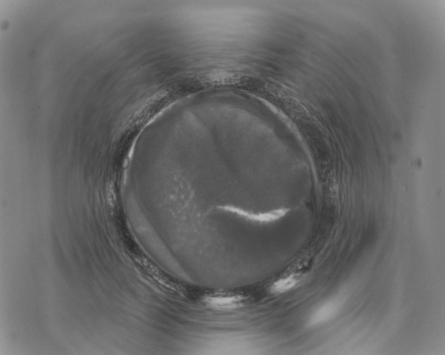 X0000070340746200606301740