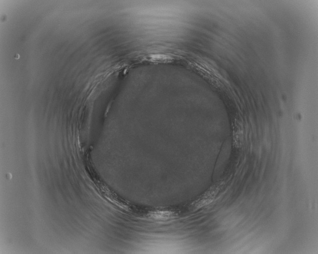 X0000070340748200606301740