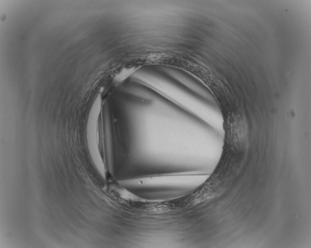 X0000070340750200606301740