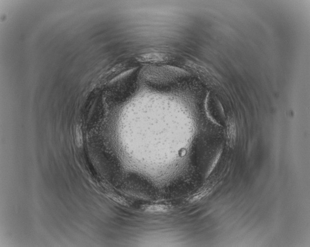 X0000070340751200606301740