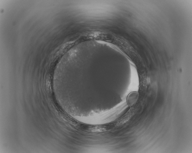 X0000070340754200606301740