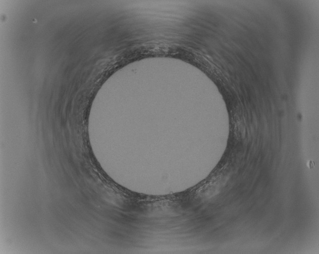 X0000070340769200606301740