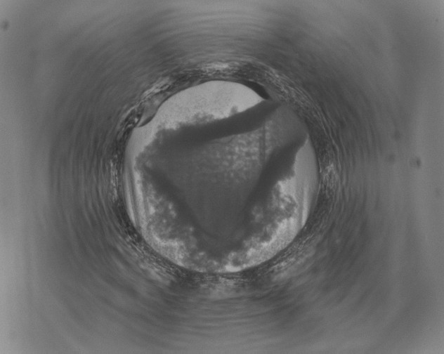 X0000070340772200606301740