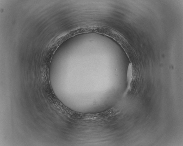 X0000070340773200606301740