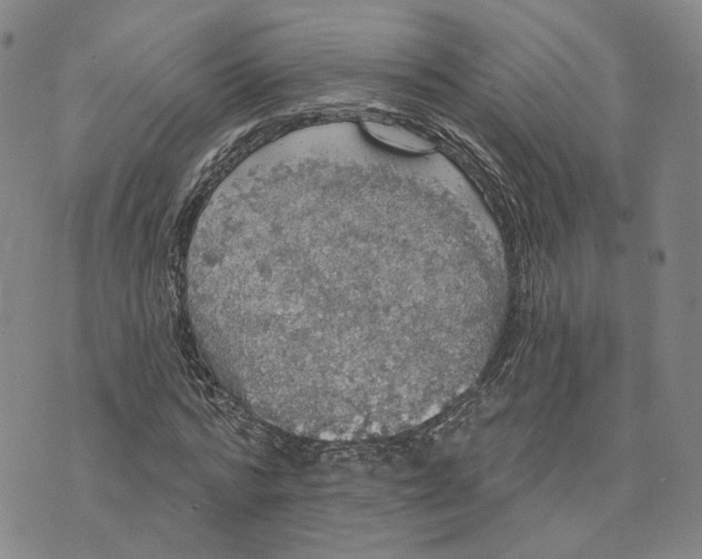 X0000070340776200606301740