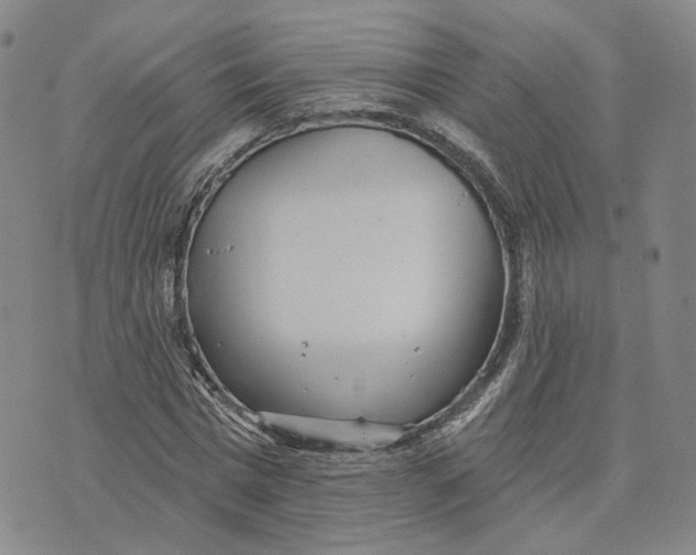 X0000070340777200606301740