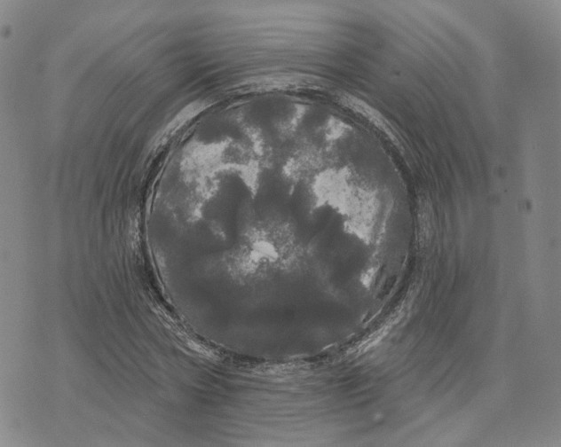 X0000070340778200606301740