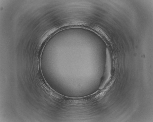 X0000070340781200606301740