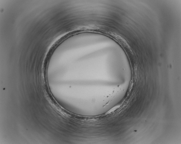 X0000070340784200606301740