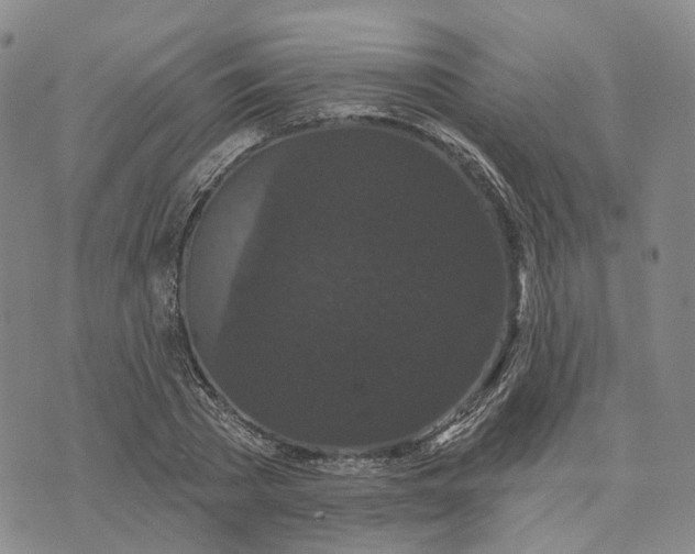 X0000070340785200606301739