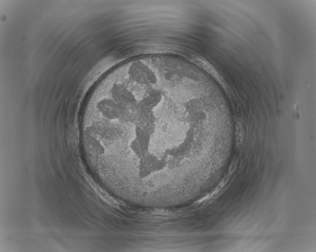 X0000070340787200606301739