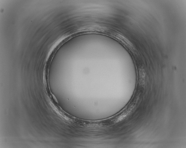 X0000070340788200606301739