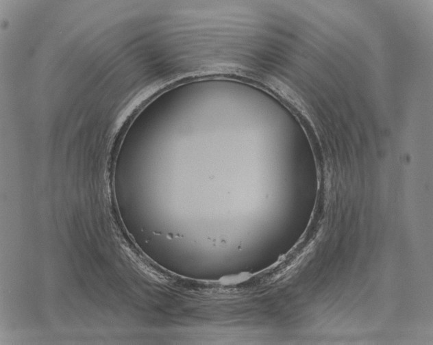 X0000070340789200606301739