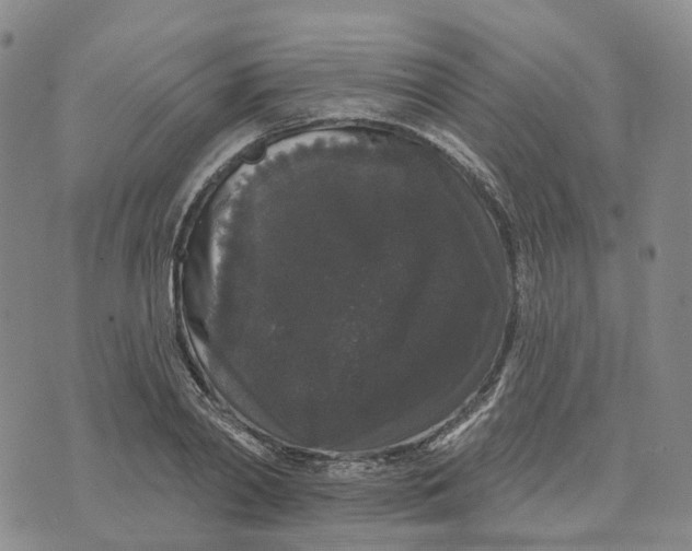 X0000070340790200606301739