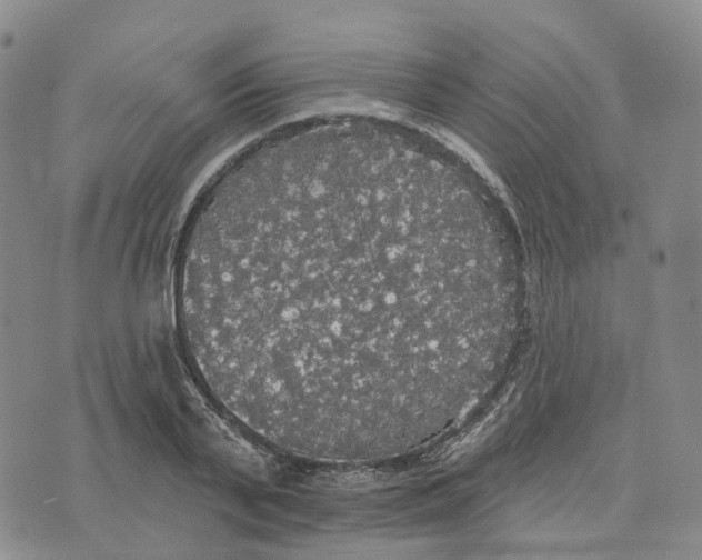 X0000070340791200606301739