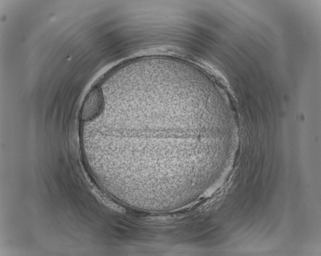 X0000070340792200606301739