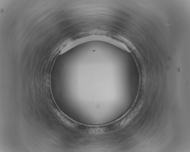 X0000070340793200606301739