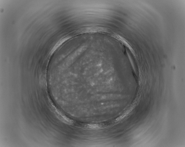 X0000070340794200606301739