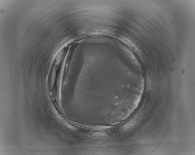 X0000070340798200606301739