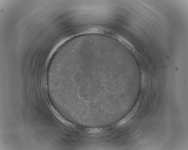 X0000070340800200606301739