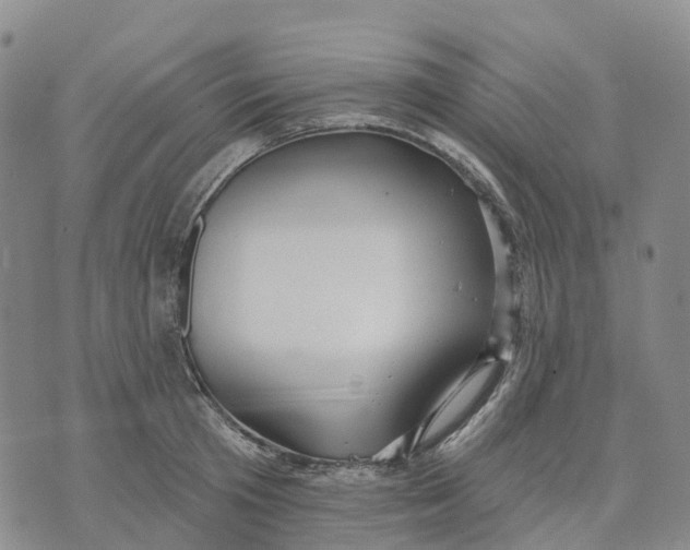 X0000070340801200606301739