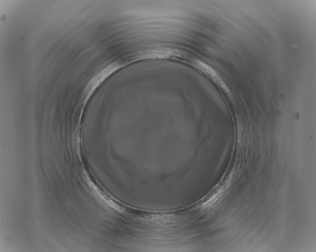 X0000070340802200606301739