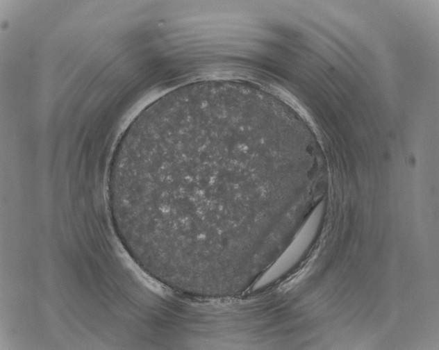 X0000070340803200606301739