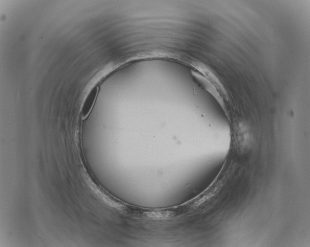 X0000070340805200606301739