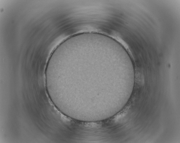 X0000070340807200606301739