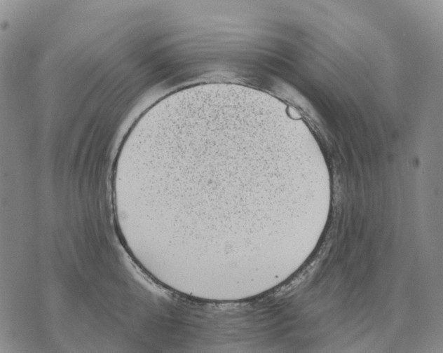 X0000070340808200606301739