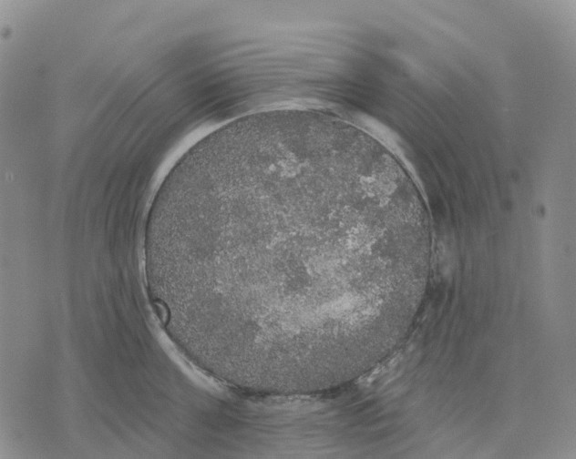 X0000070340811200606301739