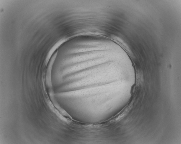 X0000070340812200606301739