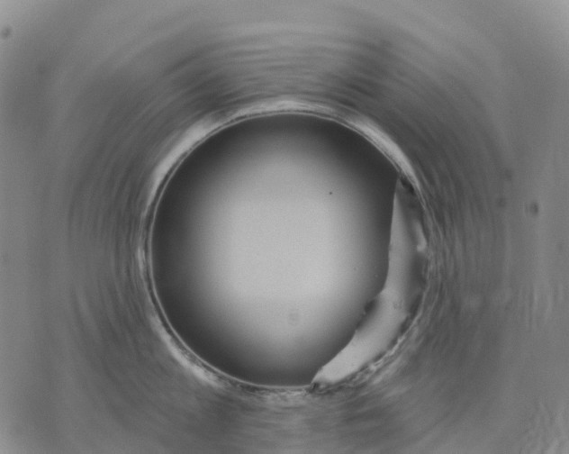 X0000070340813200606301739