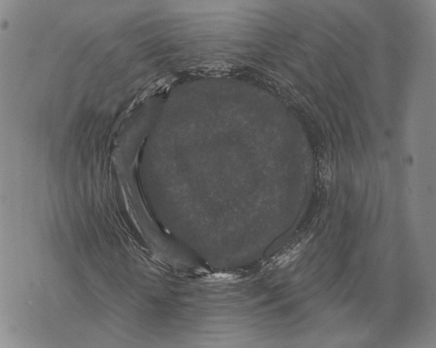 X0000070340818200606301738