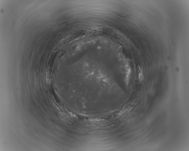 X0000070340819200606301738