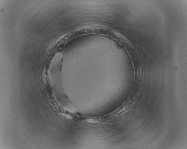 X0000070340822200606301738