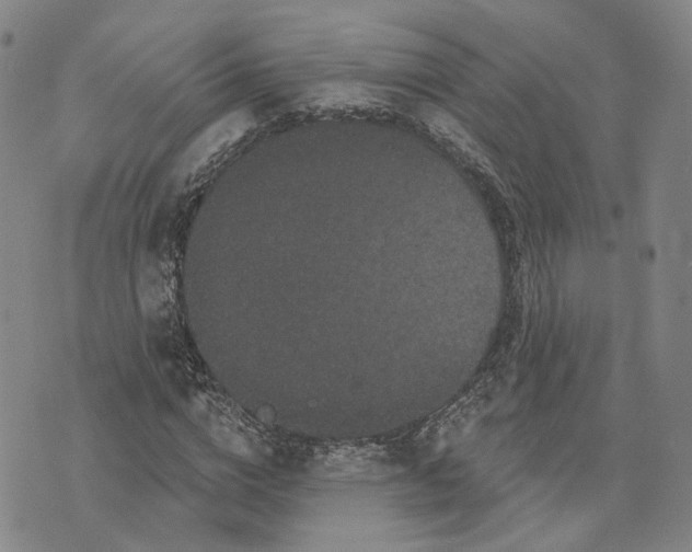 X0000070340824200606301738