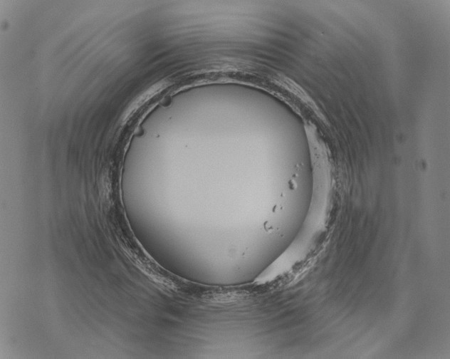 X0000070340826200606301738