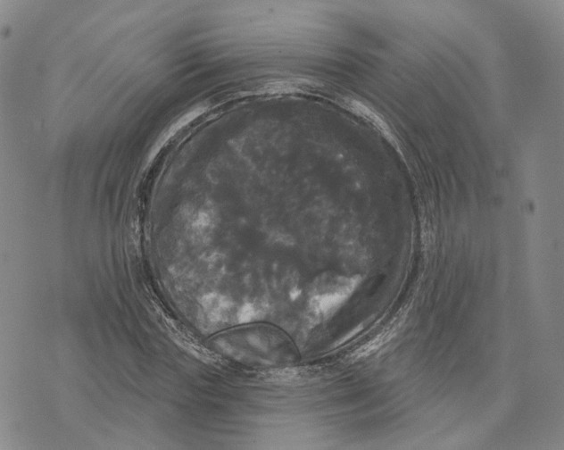 X0000070340827200606301738