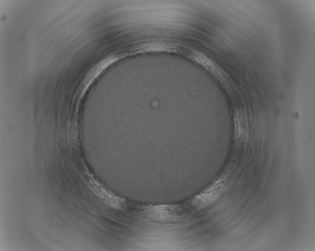 X0000070340828200606301738